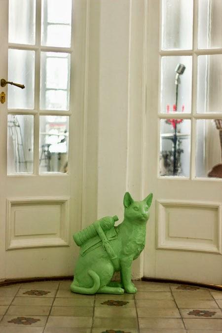 Mininos por doquier...