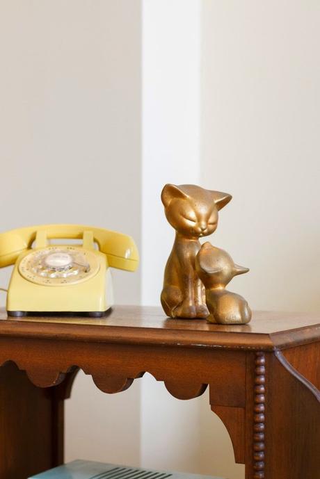 Mininos por doquier...