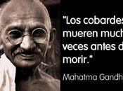País bobos cobardes