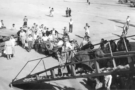 wojtek-egypt-cincodays-com