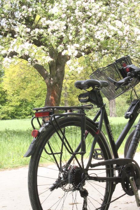 cómo preparar un picnic picnic_mamiclic_destacada