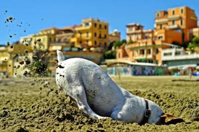 Miércoles todavía????