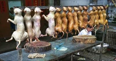 levan 3 puestos cerrados en el D.F. Impresionante