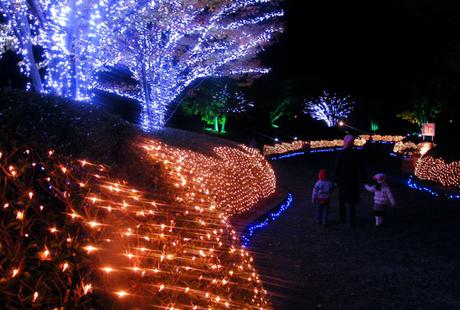 un rio de luces en el parque