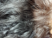 Errores pintarse cabello