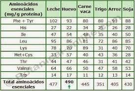 Las dietas mixtas son más adaptativas