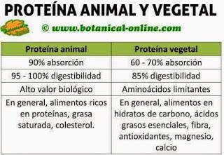 Las dietas mixtas son más adaptativas