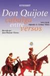 Un Quijote en verso para niños