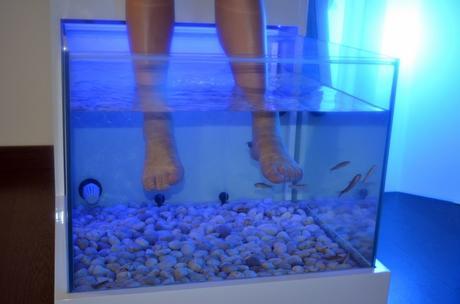 Beauty party en Las Termas de Ruham  (13)