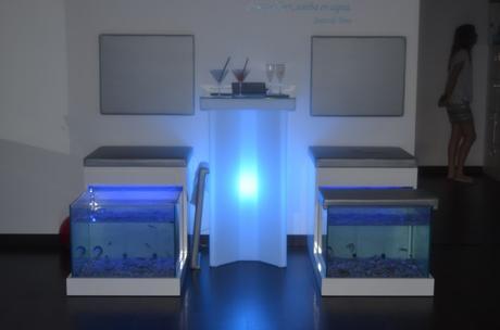 Beauty party en Las Termas de Ruham  (22)