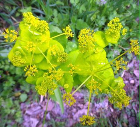 150521 esos colores 1