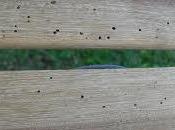 Inspiración Ideas sobre Reciclaje Pallets