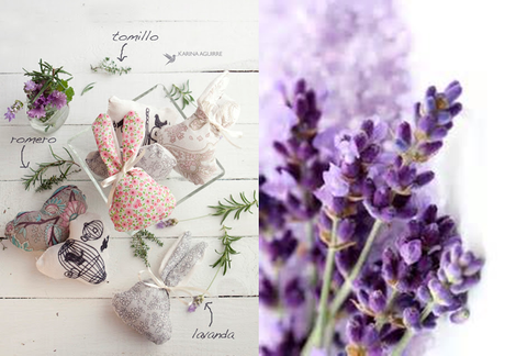 DIY Ambientadores caseros para tu hogar DIY Ambientadores caseros para tu hogar