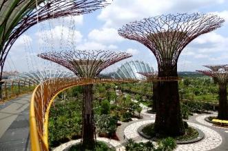 que hacer en Singapur