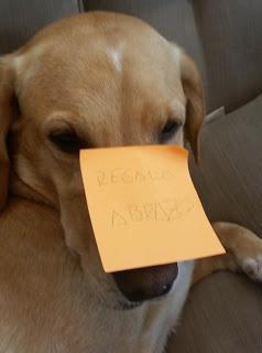 De concursos va la cosa