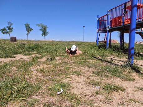 12 meses | 12 ejercicios | Mayo