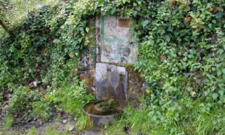 Font de la llet (Barcelona, Collserola)