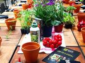 Huerto urbano fácil casa #MiHuertoCompo