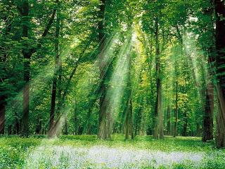 Citas: Los juegos del hambre