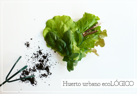 Cultivar = Felicidad #MiHuertoCompo