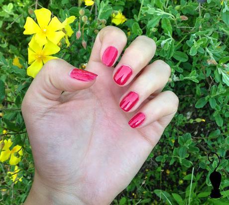 Conociendo Andreia Professional Conociendo Andreia Professional