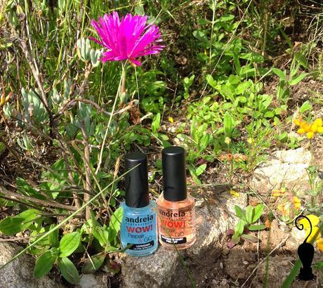 Conociendo Andreia Professional