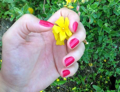 Conociendo Andreia Professional