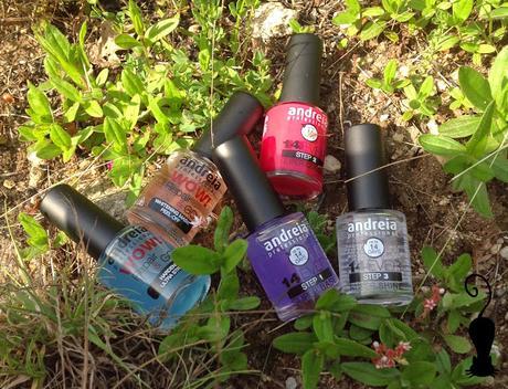 Conociendo Andreia Professional