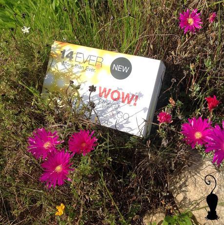 Conociendo Andreia Professional