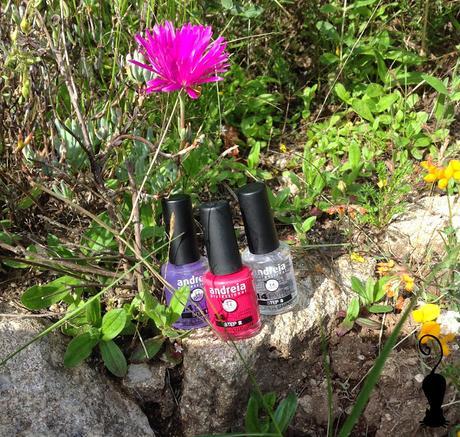 Conociendo Andreia Professional