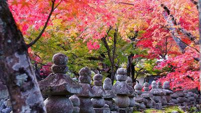 Lo bello y lo triste de Yasunari Kawabata