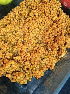 ENSALADA DE LENTEJAS , SALMÓN Y MANGO