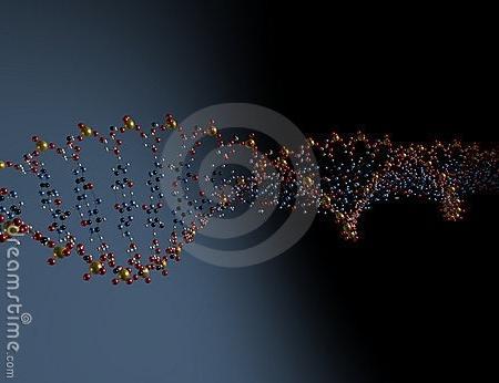 DNA helicoidal image