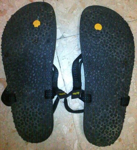 Análisis Luna Sandals Oso