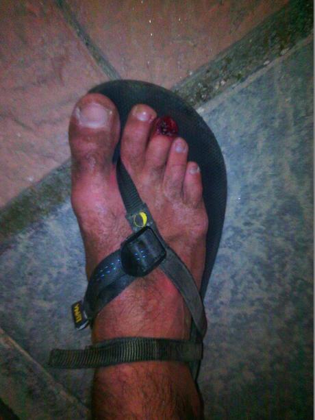 Análisis Luna Sandals Oso