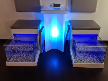 Beauty Party en LAS TERMAS DE RUHAM Beauty Party en LAS TERMAS DE RUHAM