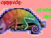 años medio después primer post.....