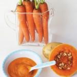 pure-calabaza-patata-zanahorias-bebes
