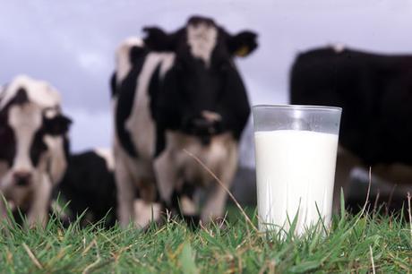 La leche ya no es recomendada ni requerida por los médicos La-leche-ya-no-es-recomendada-ni-requerida-por-los-medicos