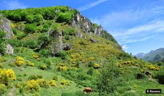 Pola de Somiedo-Castro-Pineda-Pena Blanca-Aguino