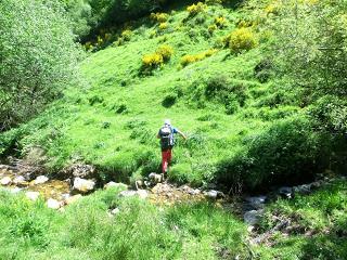 Pola de Somiedo-Castro-Pineda-Pena Blanca-Aguino