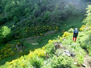 Pola de Somiedo-Castro-Pineda-Pena Blanca-Aguino