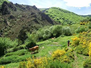 Pola de Somiedo-Castro-Pineda-Pena Blanca-Aguino