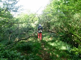 Pola de Somiedo-Castro-Pineda-Pena Blanca-Aguino