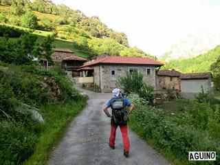 Pola de Somiedo-Castro-Pineda-Pena Blanca-Aguino