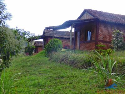 La Fundadora, una de las Primeras Haciendas Cafetaleras de Nicaragua La Fundadora, una de las Primeras Haciendas Cafetaleras de Nicaragua