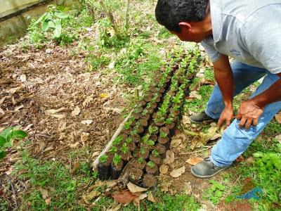 La Fundadora, una de las Primeras Haciendas Cafetaleras de Nicaragua