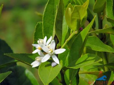 La Fundadora, una de las Primeras Haciendas Cafetaleras de Nicaragua