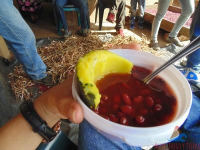La Fundadora, una de las Primeras Haciendas Cafetaleras de Nicaragua