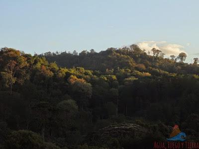 La Fundadora, una de las Primeras Haciendas Cafetaleras de Nicaragua